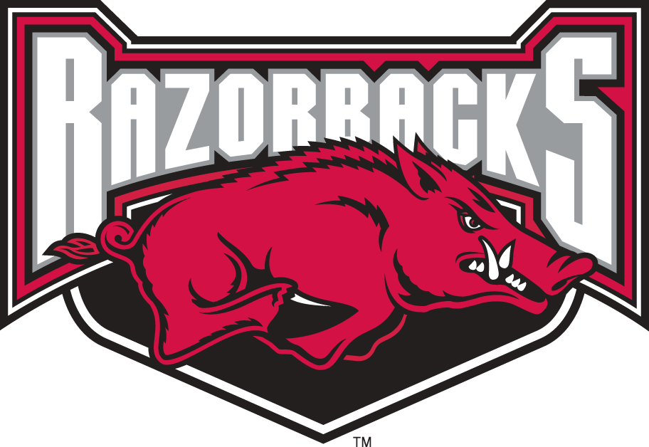 Arkansas Razorbacks 2001-2008 Alternate Logo 02 iron on paper